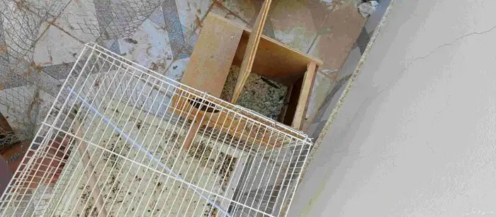 شبك طيور زينه واحد جديد و ثاني كبير مستعمل وعشين جدد 4