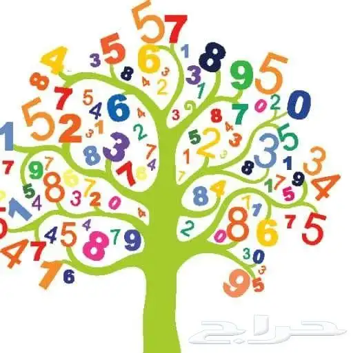 معلم مرحلة ابتدائية وتأسيس 1