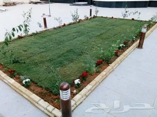 ثيل طبيعي وي شبكت ري 5