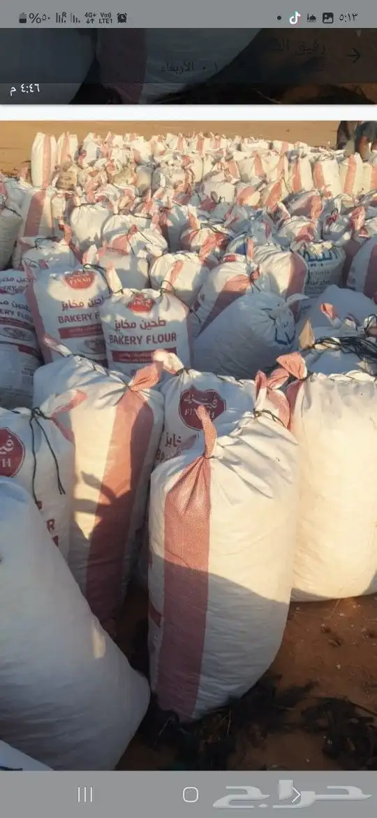 يوجد لدينا نفيع تمر نضيف الكمية مفتوحه 1