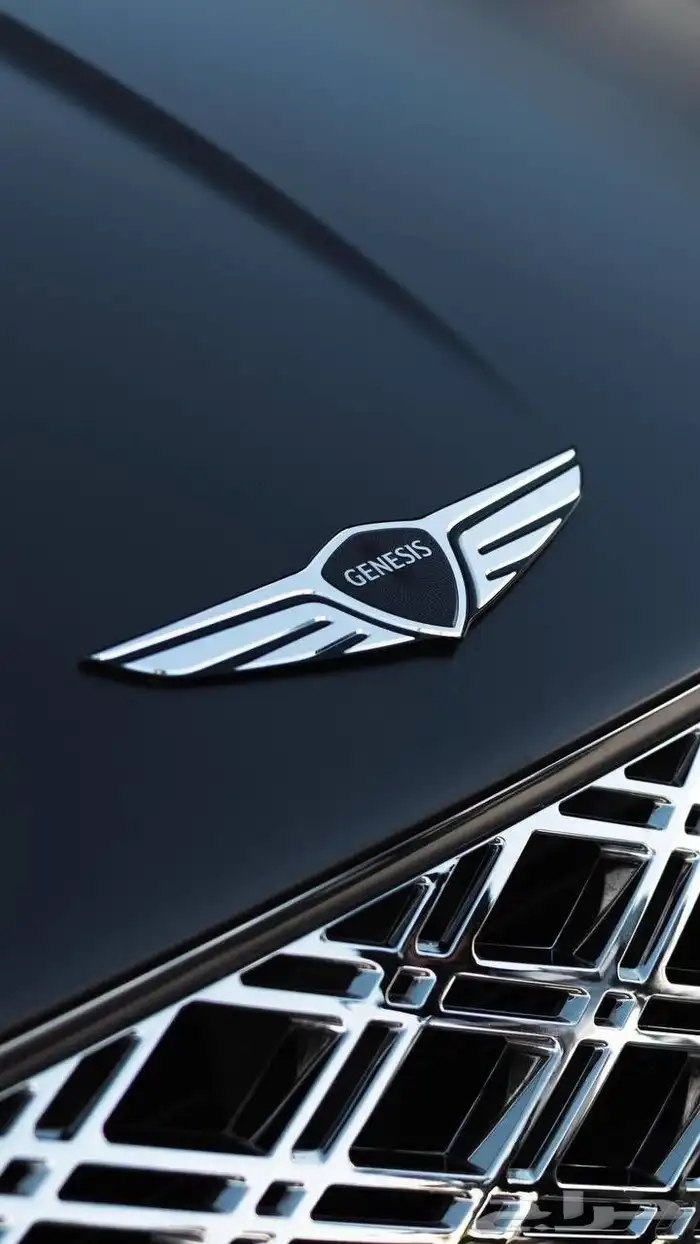 مندوب تشليح الحاير 3