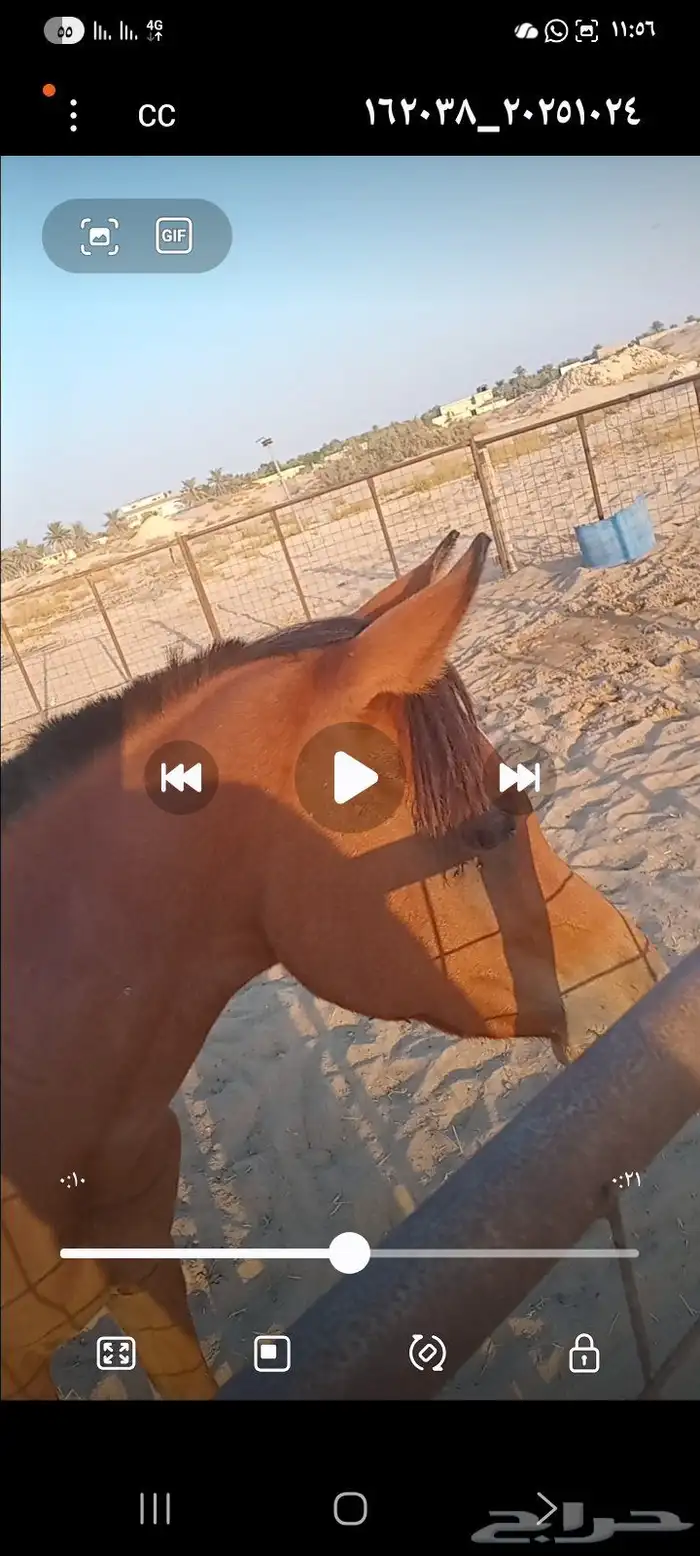 مهره شعبيه 4