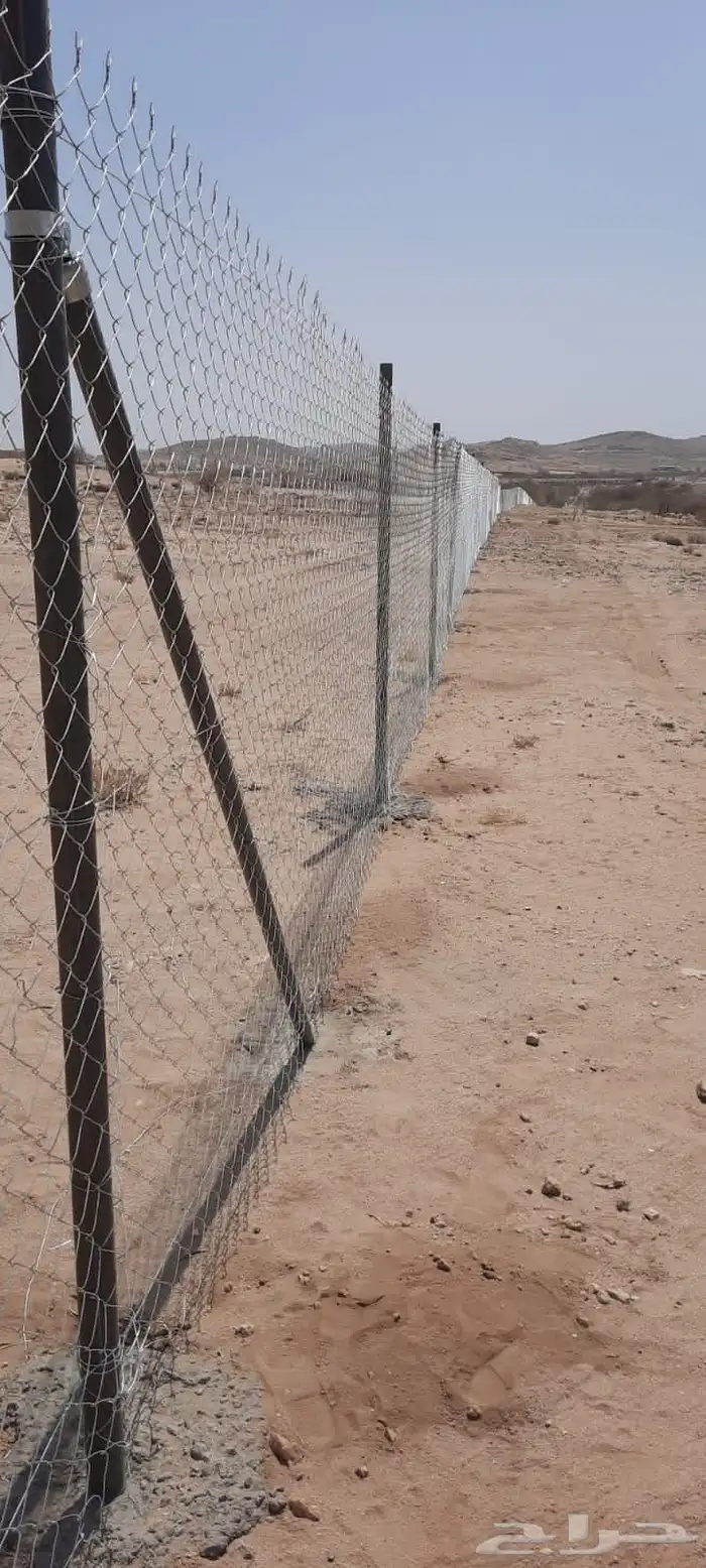 تركيب شبوك مزارع توريد نخل واشنطن وعربي بناءتراث 5