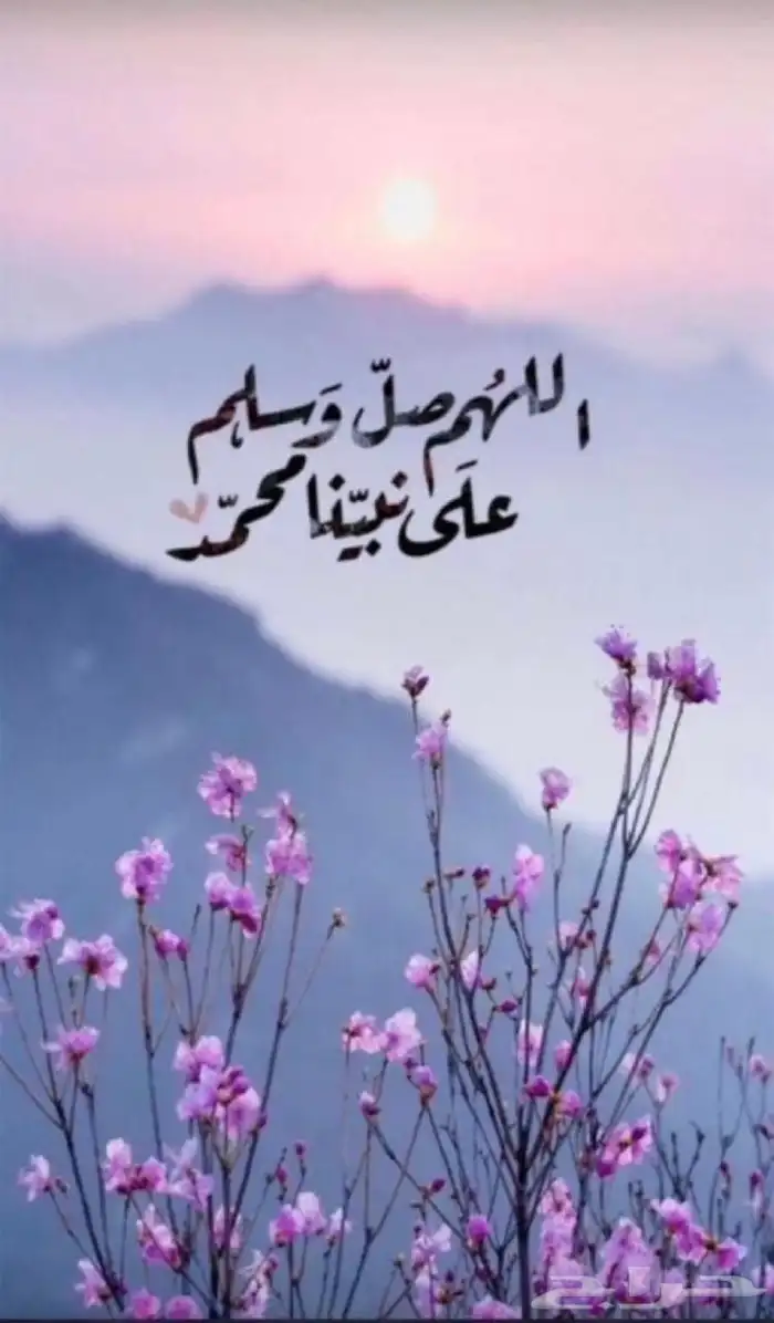 مطلوب شقة مستقلة الدهاس.. أو ملحق أو بيت 0