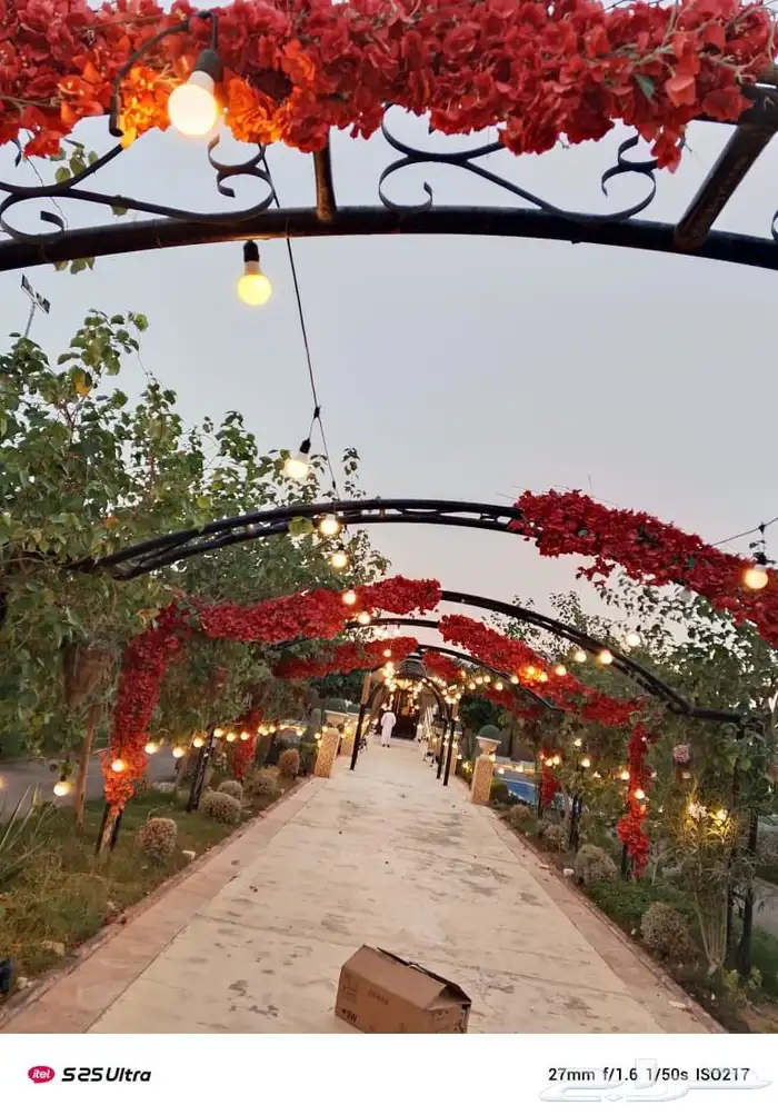 تاجير اضاءات تاجير عقود 1