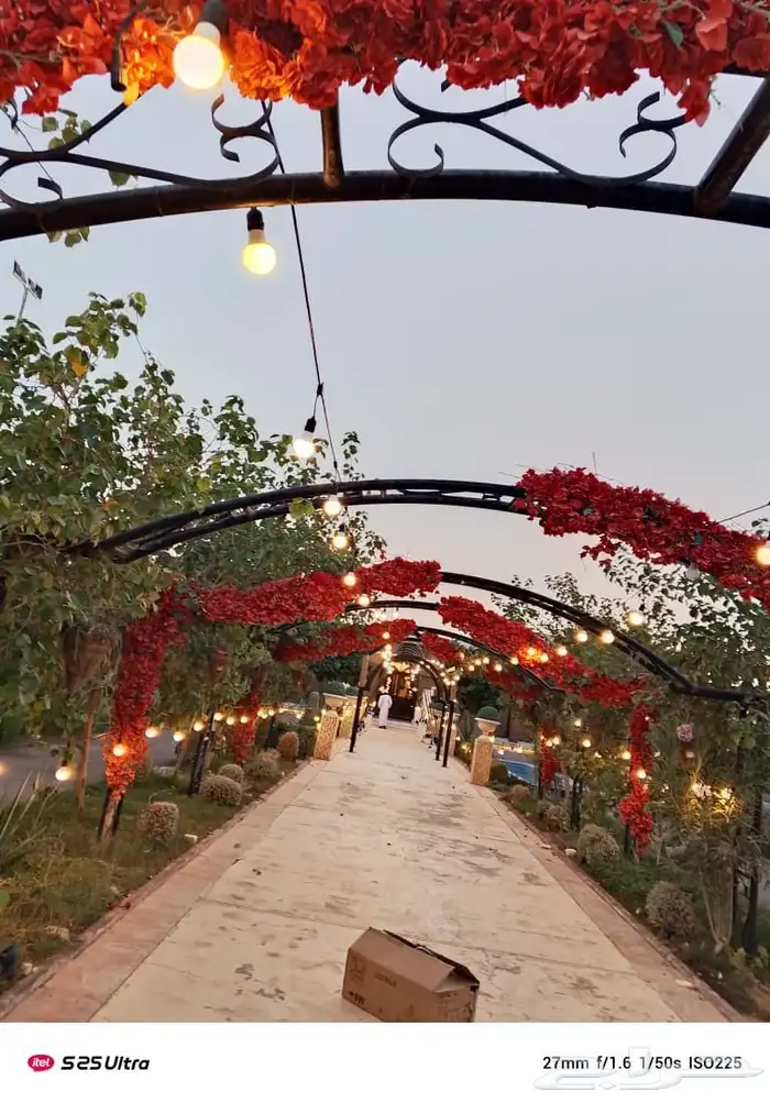 تاجير اضاءات تاجير عقود 0