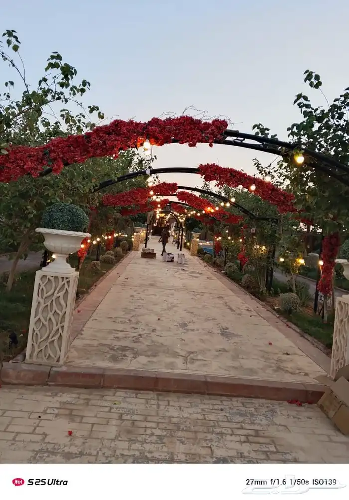 تاجير اضاءات تاجير عقود 2