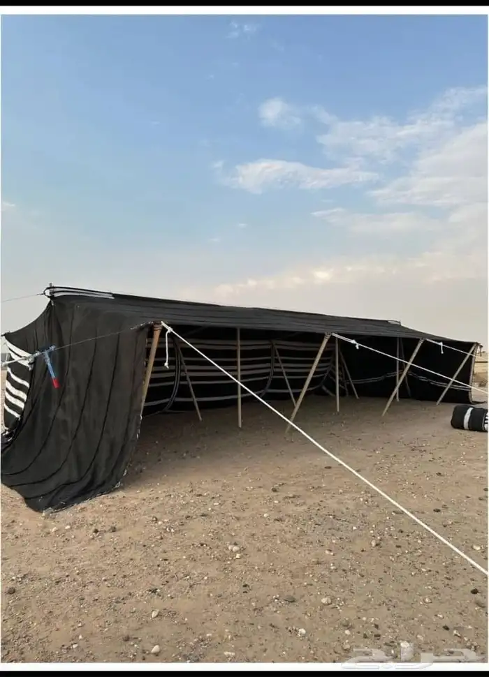 موقعنا حفر الباطن ( بيوت شعر وخيام) 3