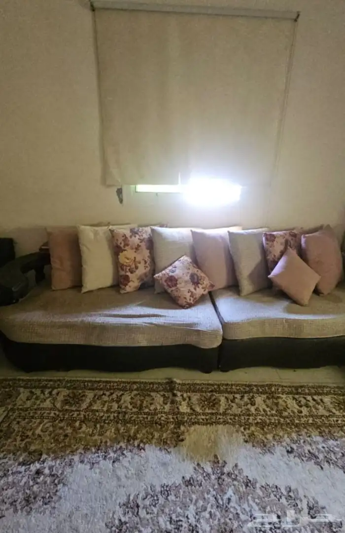 المدينه المنوره شوران جيد والسعر طيب 200 0