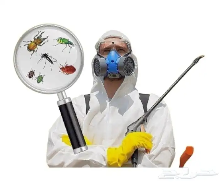 شركة مكافحة حشرات شاملة في جدة 4