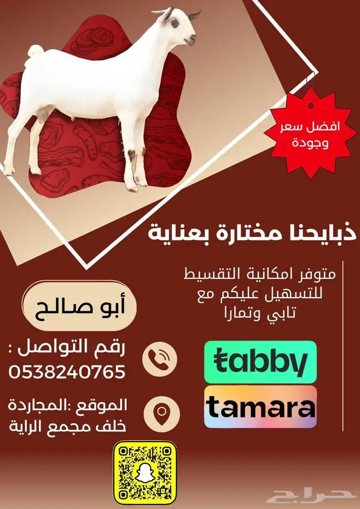 مثلث النقل الجماعي 1