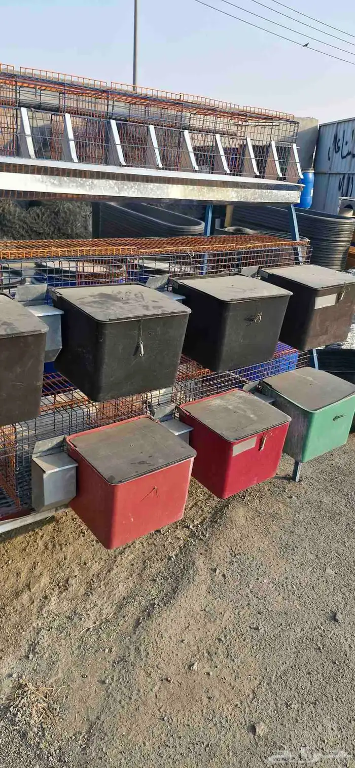 بطارية ارانب 1