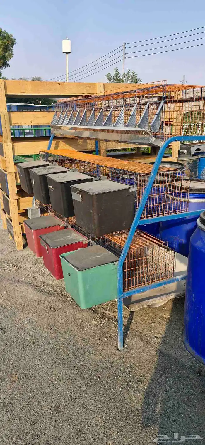 بطارية ارانب 0