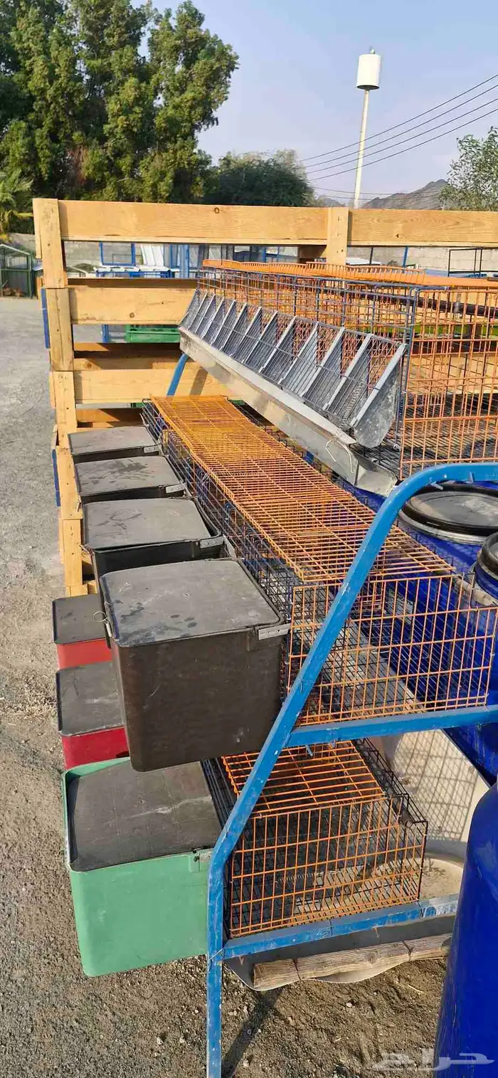 بطارية ارانب 4