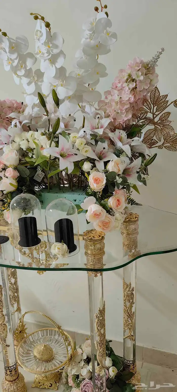 عربية شبكة 2