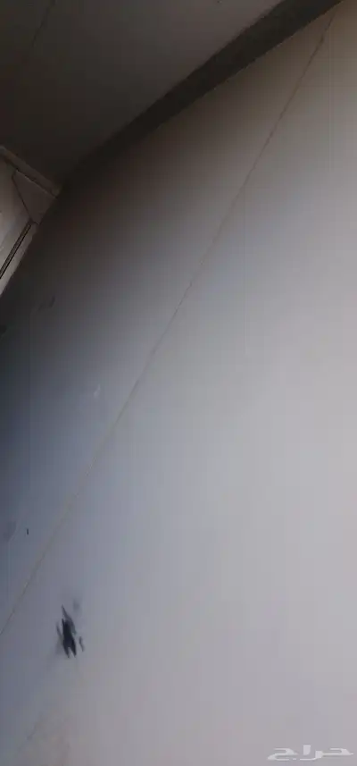 صندوق ستارة دينة نظيفة للبيع index