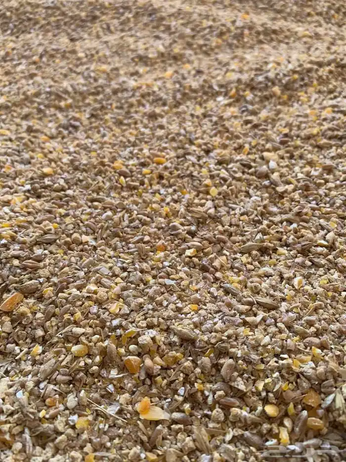 علف الخلطة المتوازنة للدواجن والطيور والحمام 0