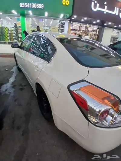 التيما 2010 index