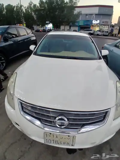 التيما 2010 index