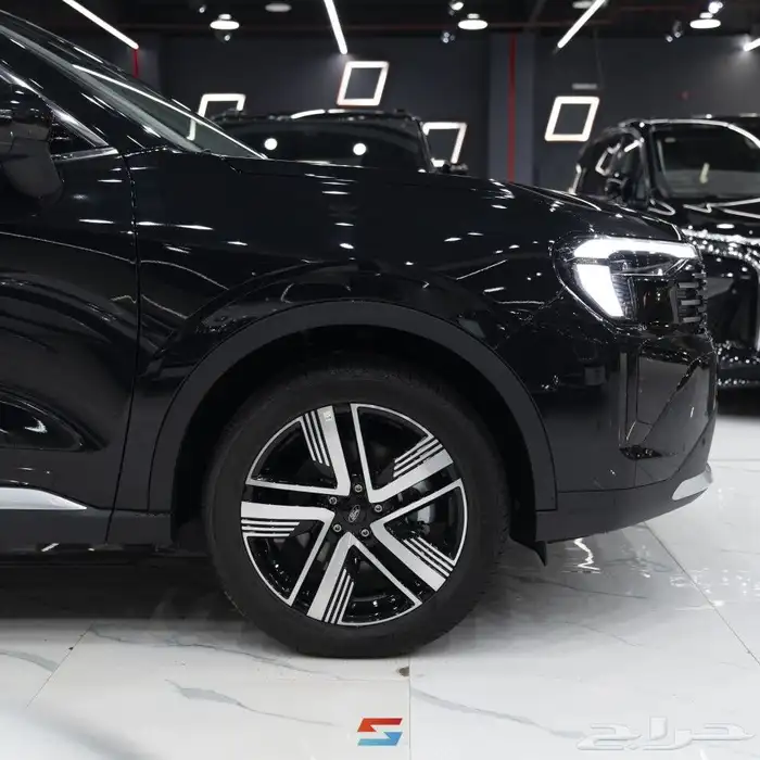 فورد تيريتوري تيتانيوم 2026 2