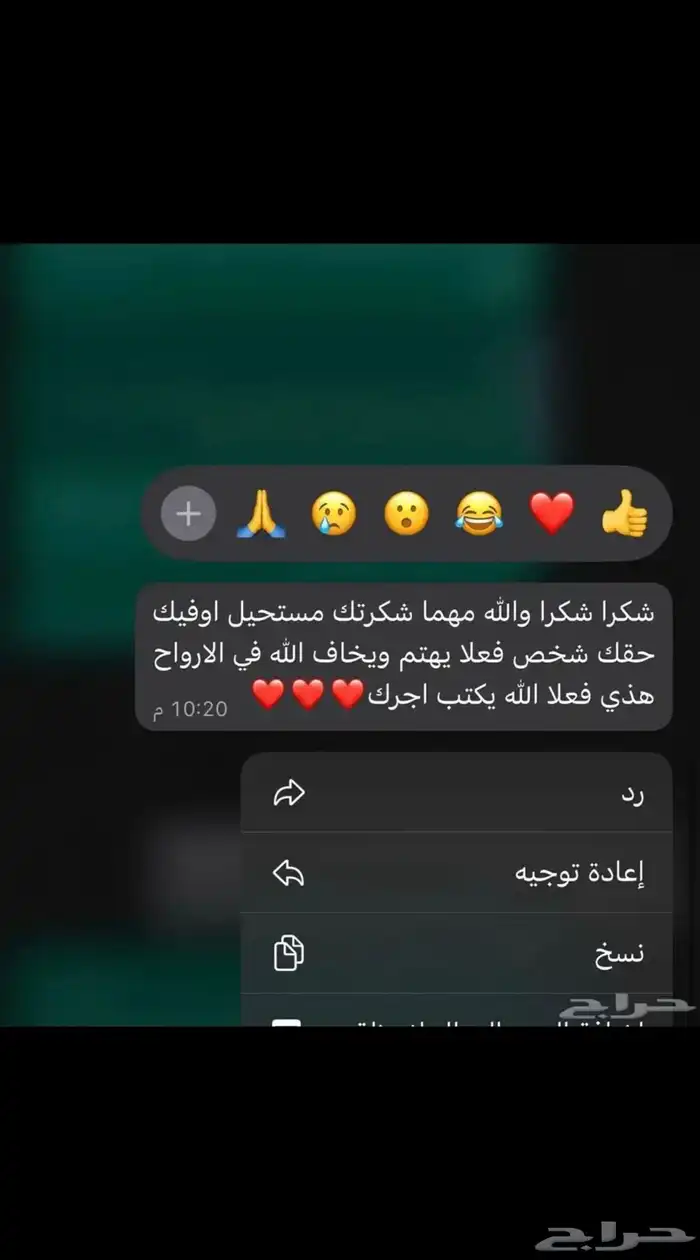 فندقة قطط ومعالجة 6