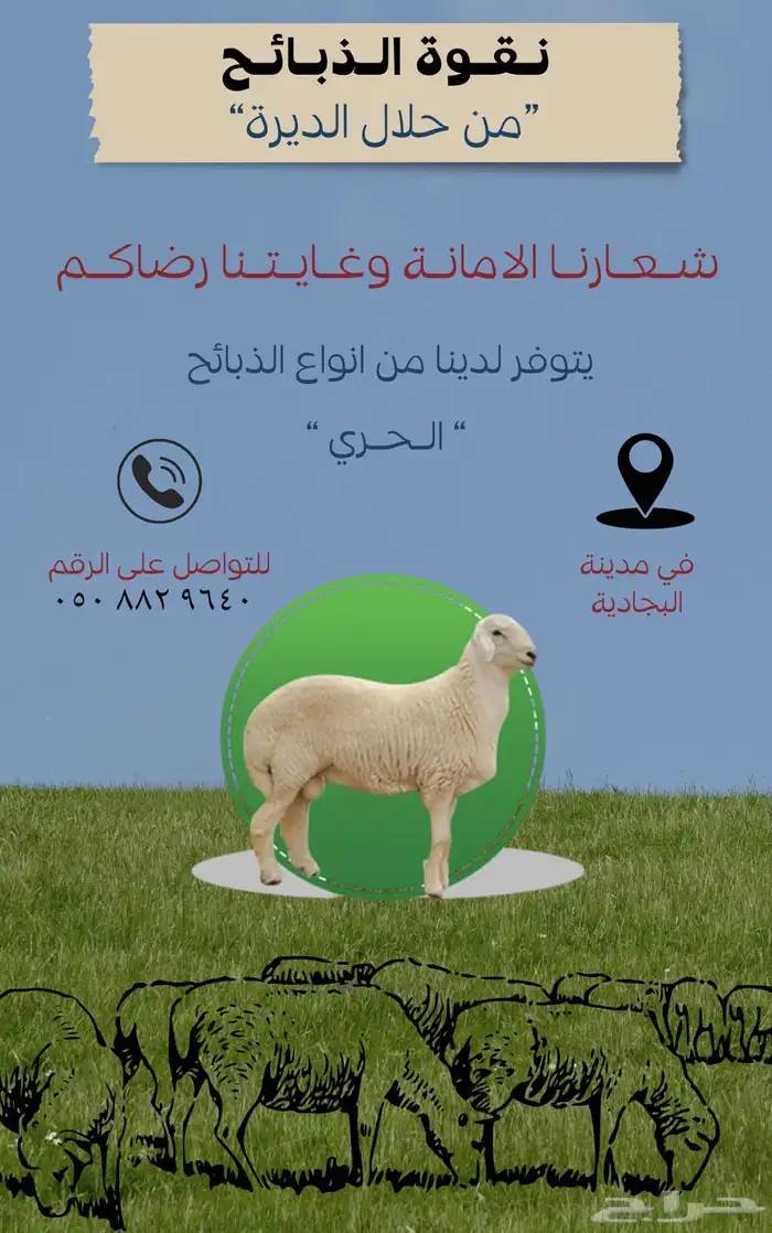 البيع ذبايح 0