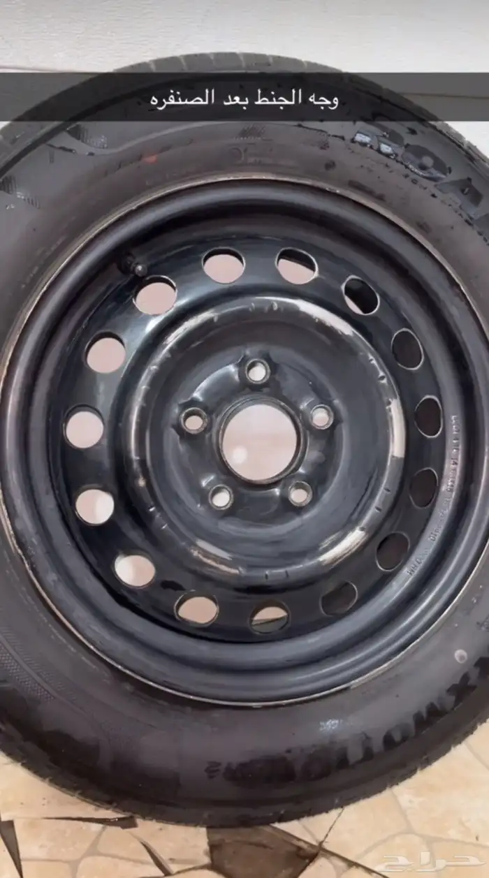 خدمة رش جنوط 4