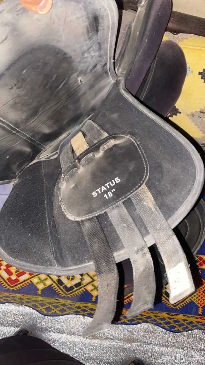 سرج واغراضه 2