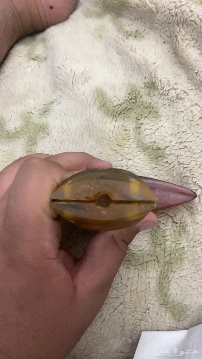 رس خانجر مطرح 9 او 8 2