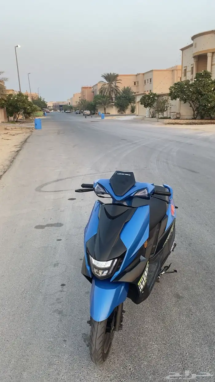 افنس مهدي 2025 1