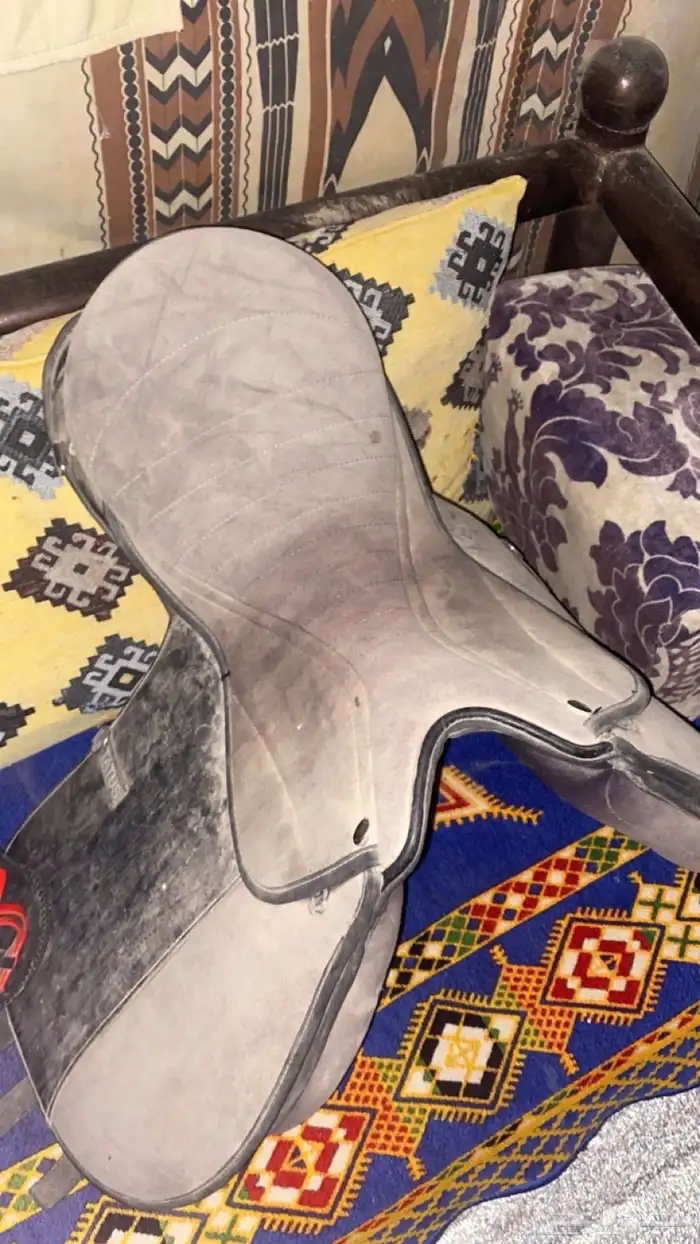 سرج واغراضه 4