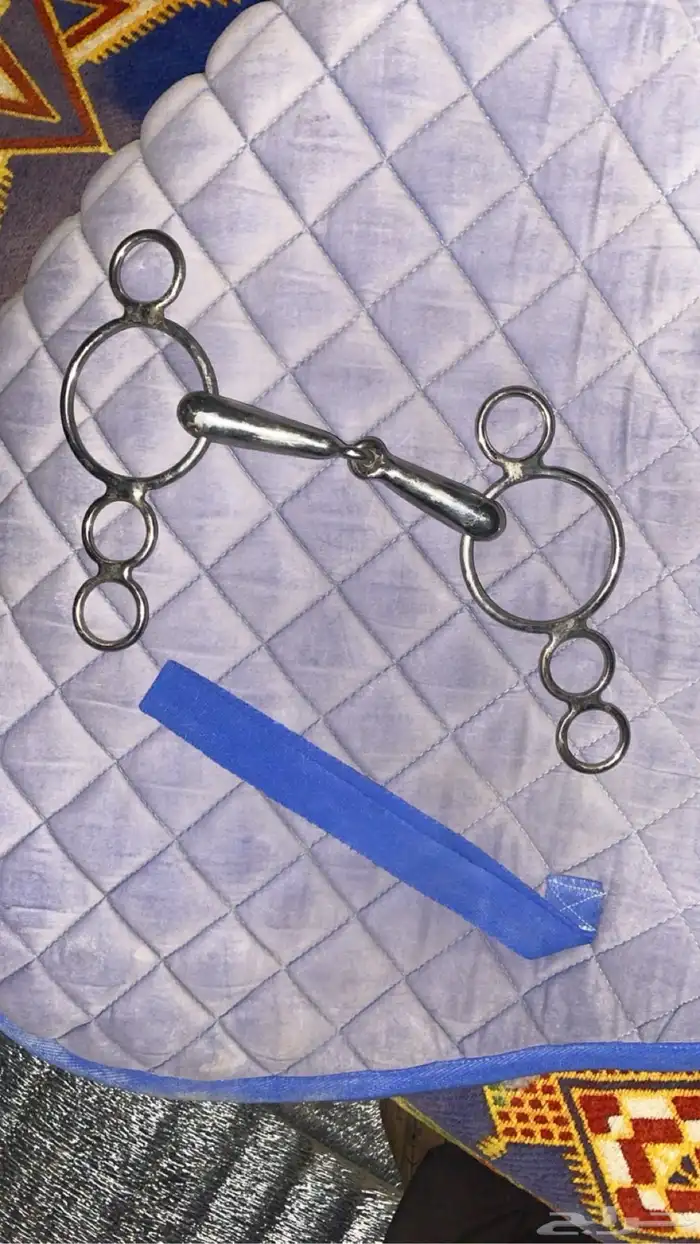 سرج واغراضه 1