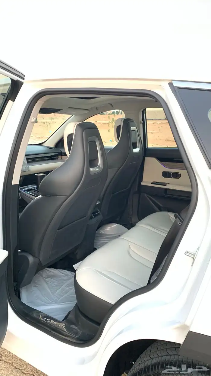 جيتور داشينق 2024 8