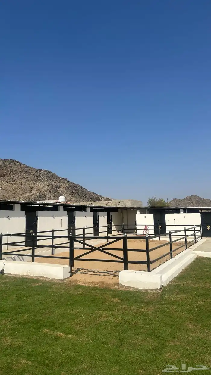 غرف ايواء خيل 4