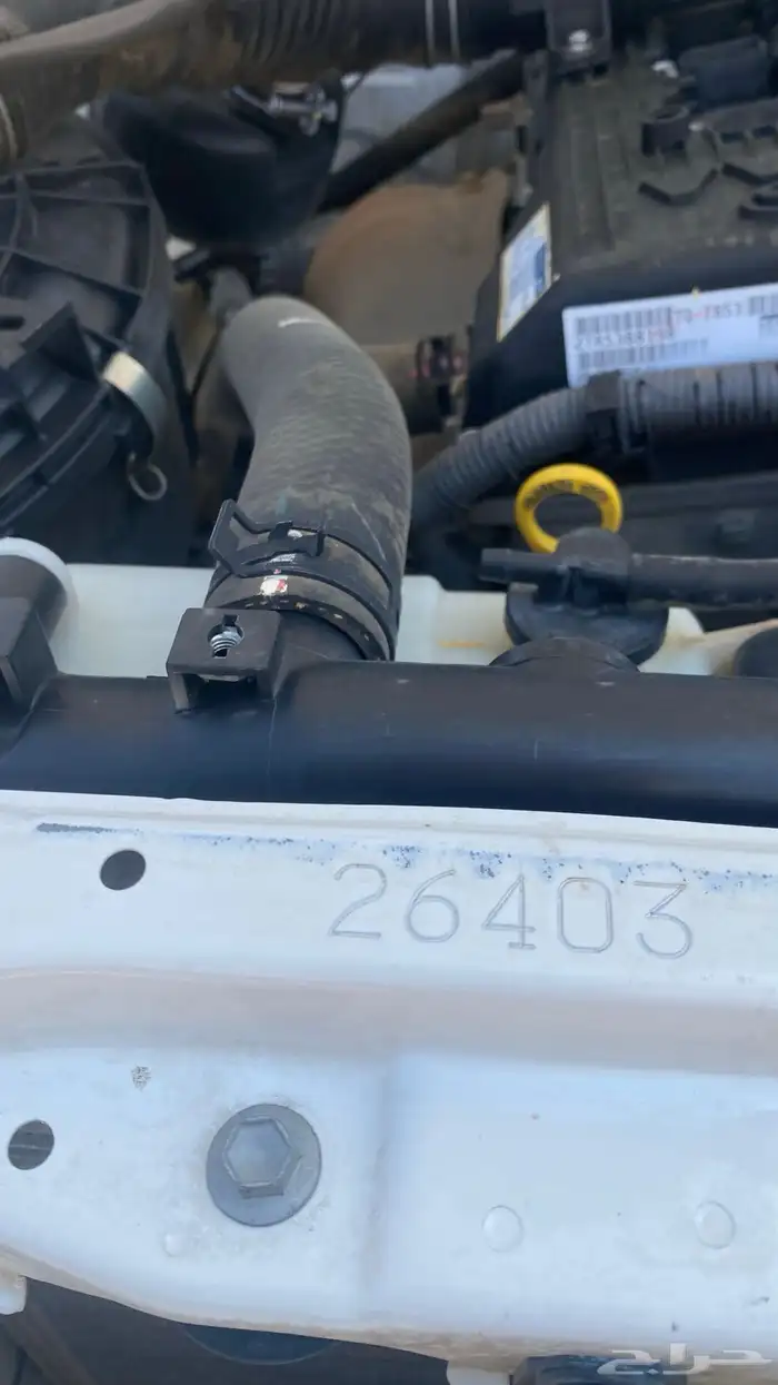 هايلقس 2015 غمارتين 9