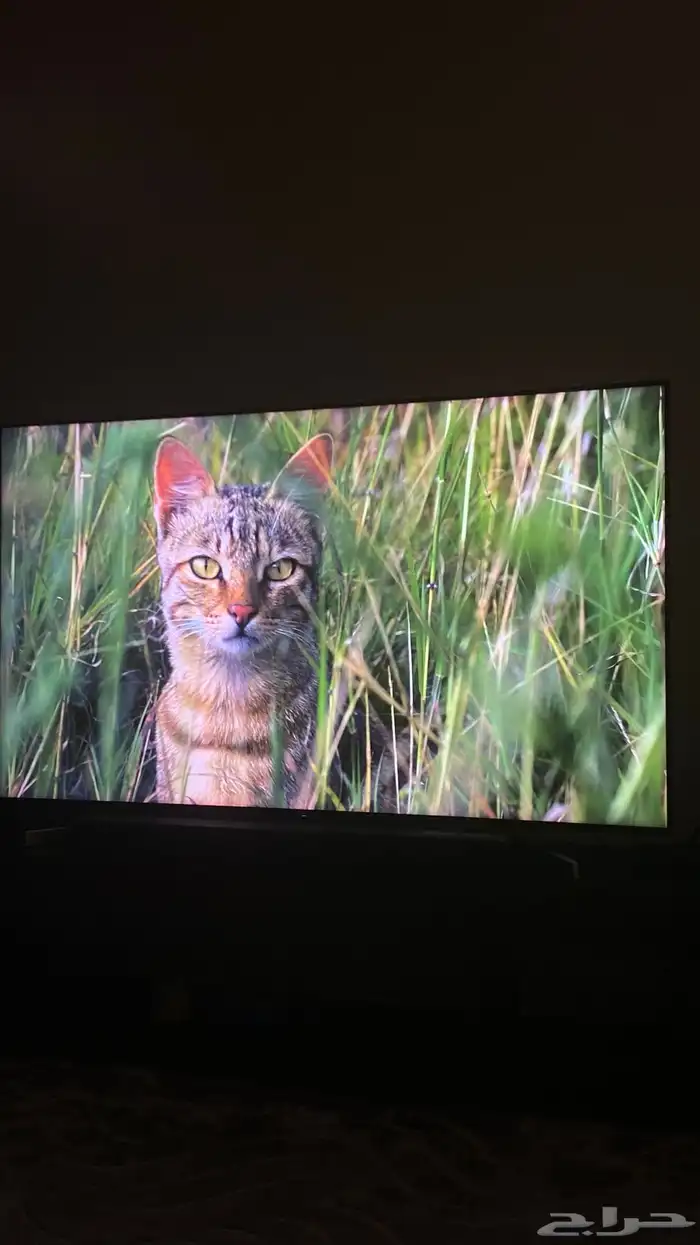 شاشة سوني 65 4k HDR موديل Sony KD-65X9000F 1