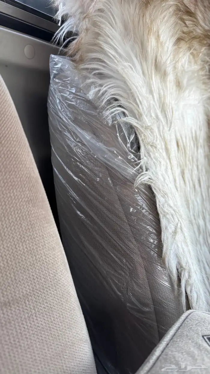 للبيع شاص مخزن 59