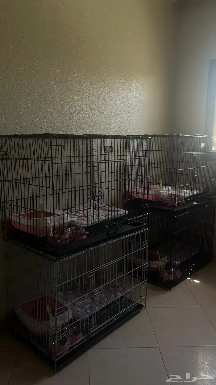 شبك كبير جدا  للحيوانات الاليفه ( للبيع ) 1