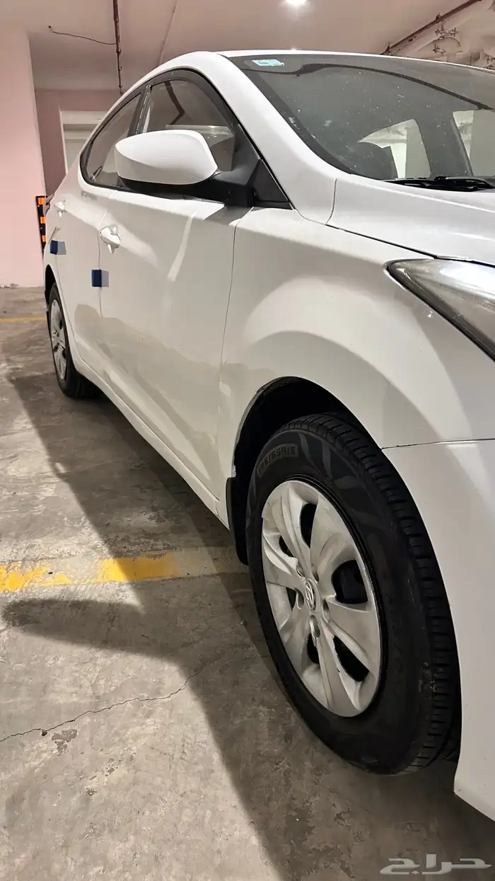 النترا 2014 13