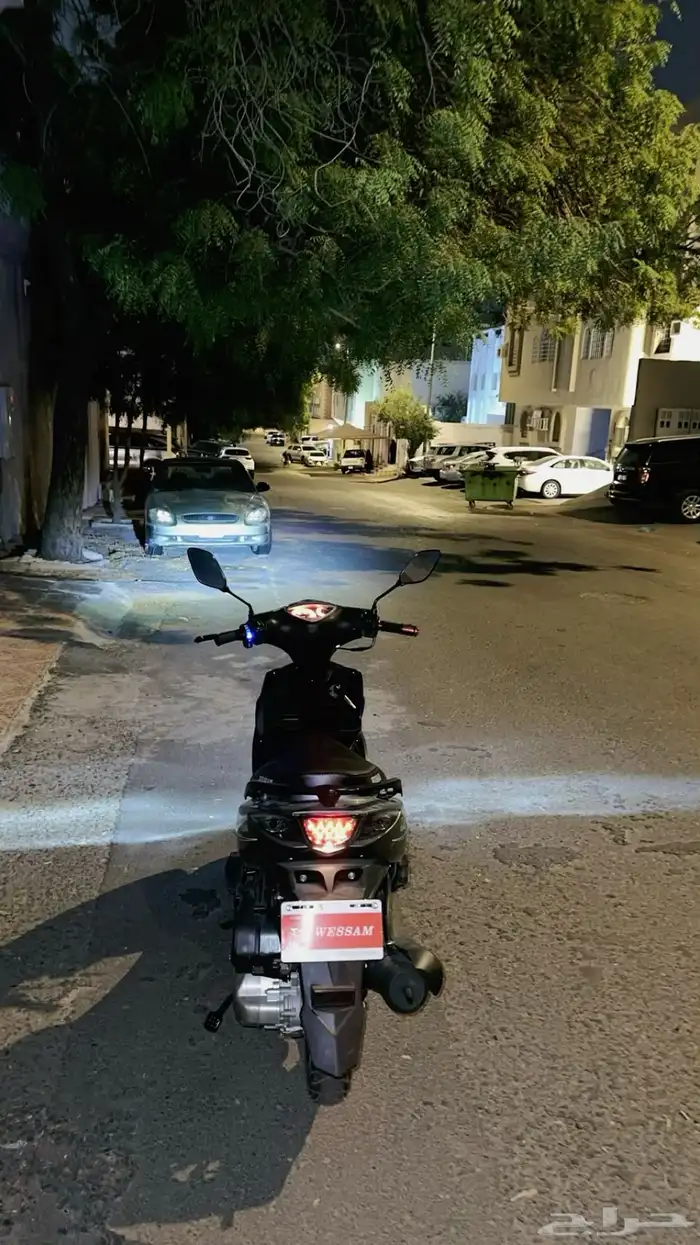 الدباب  بطة للبيع 9