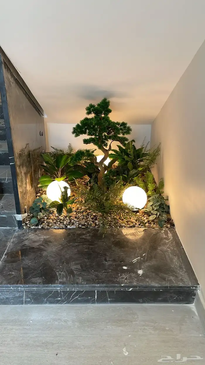 شجر سنايع ورد أي نوع فصل انشاءالله 11