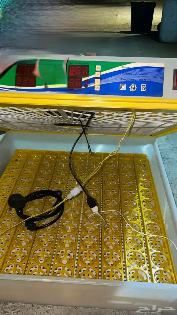 فقاسه 98 بيضه جديده 2