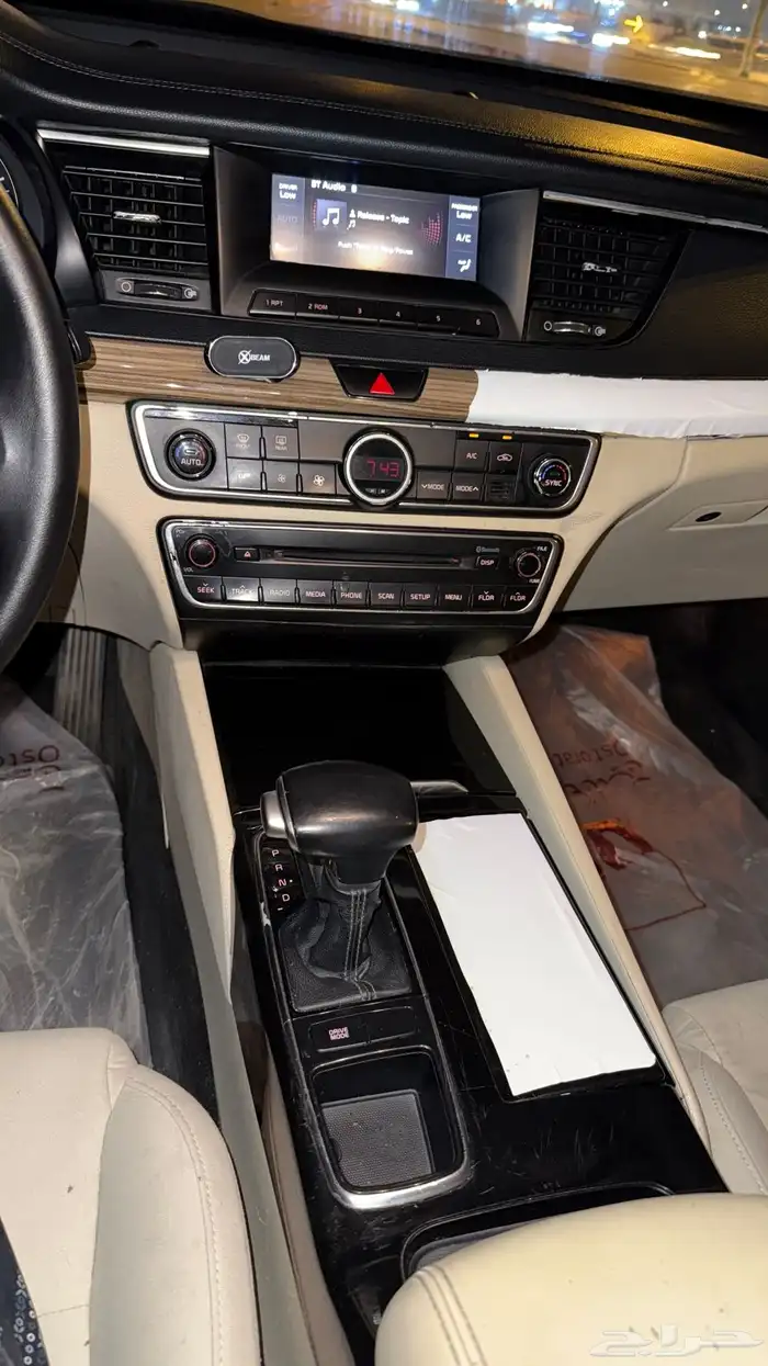 كادينزا 2017 9