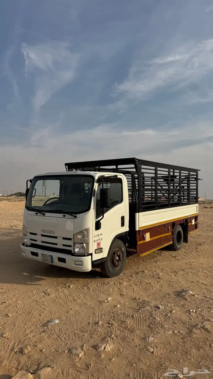 دنه اسيزو 2012 0