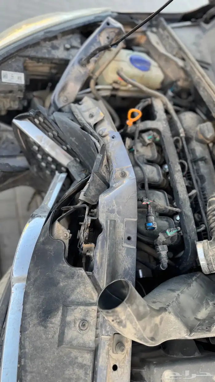 شيري اريزو 5 مصدوم 11