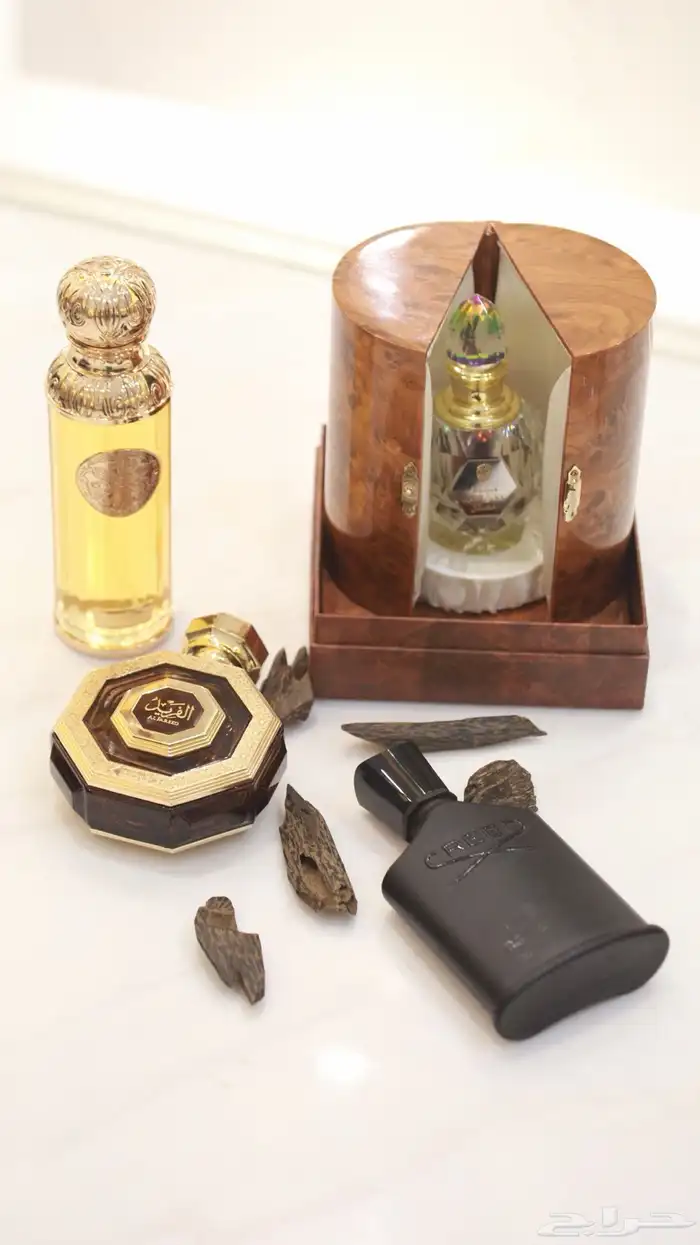 مصور زواجات في حفرالباطن 4