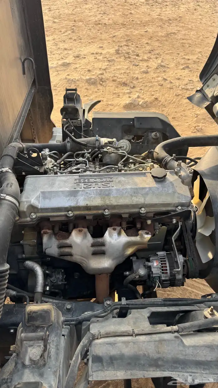 دنه اسيزو 2012 15