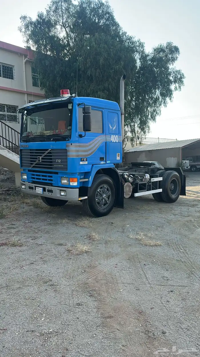 راس فلفو الزاهد 94 0