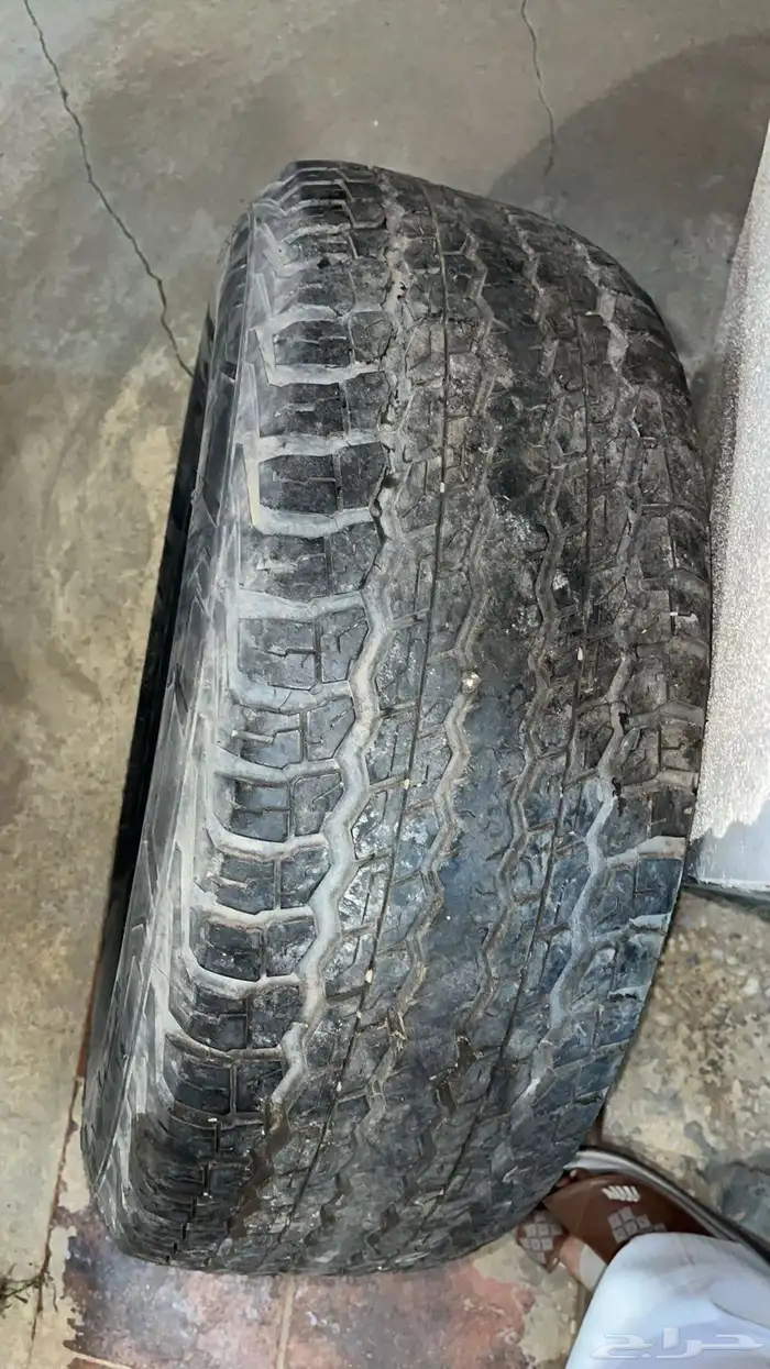 جنوط لاند 2012 4