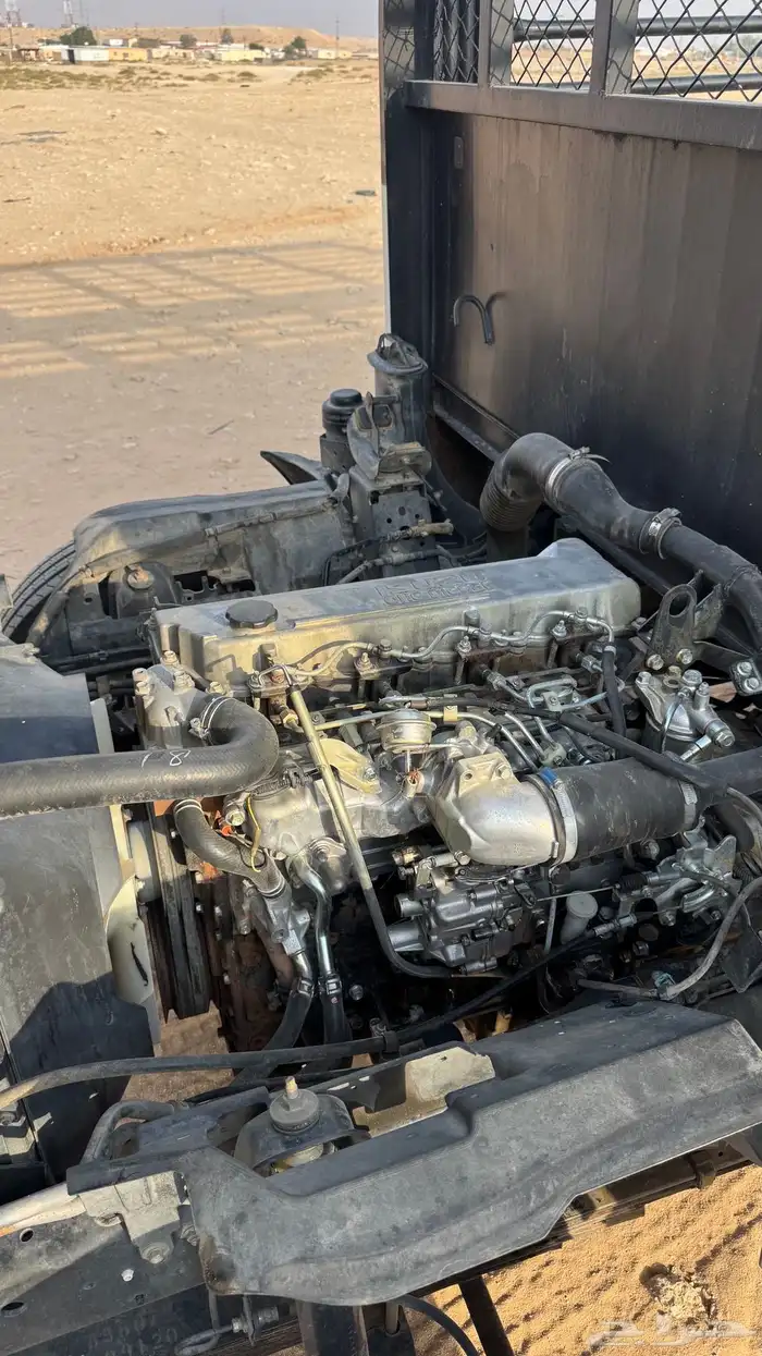 دنه اسيزو 2012 9